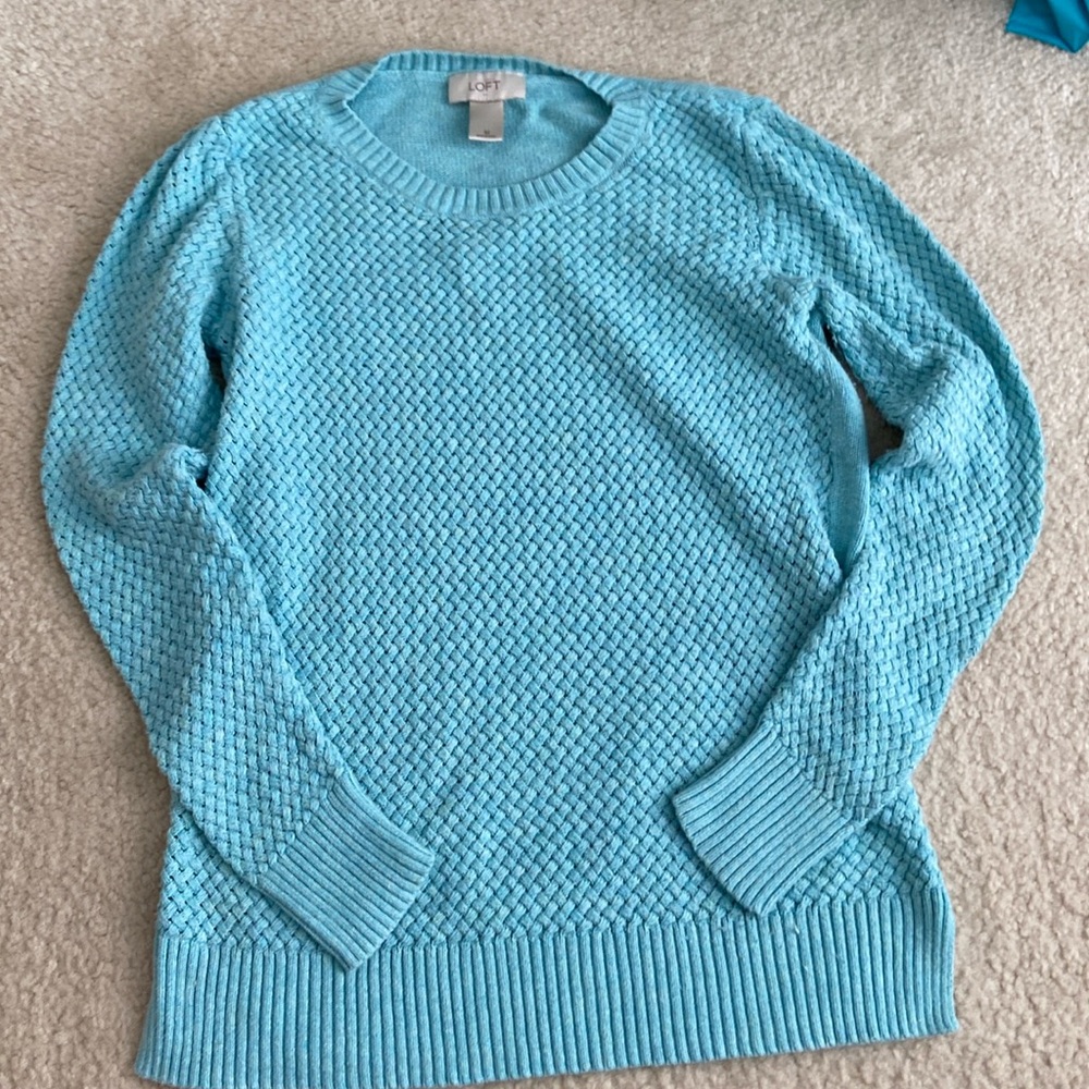 Ann Taylor LOFT Knit Sweater